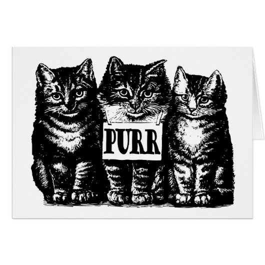 Purr Kittens Cards (Front Horizontal)