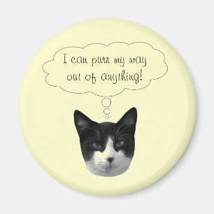 Purr My Way Out of Anything Magnet
