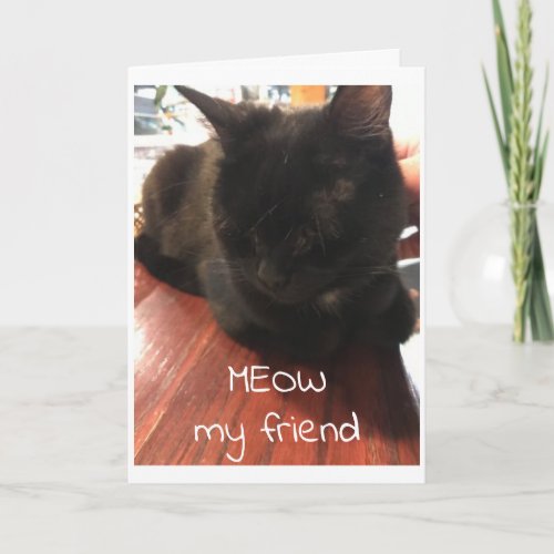PURR_SUASIVE CAT SAYS HAPPY BIRTHDAY TO YOU CARD