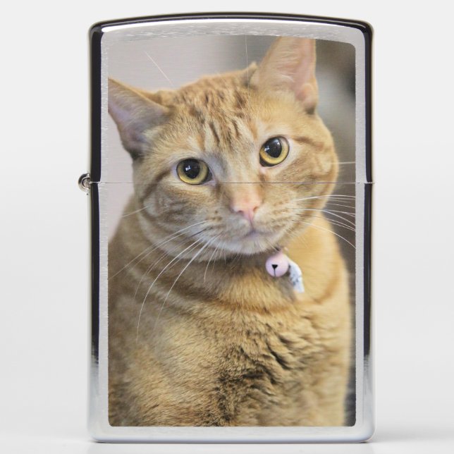 Purr Zippo Lighter (Front)