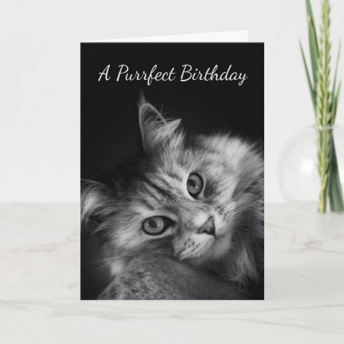 Purrfect Birthday Wishes Card