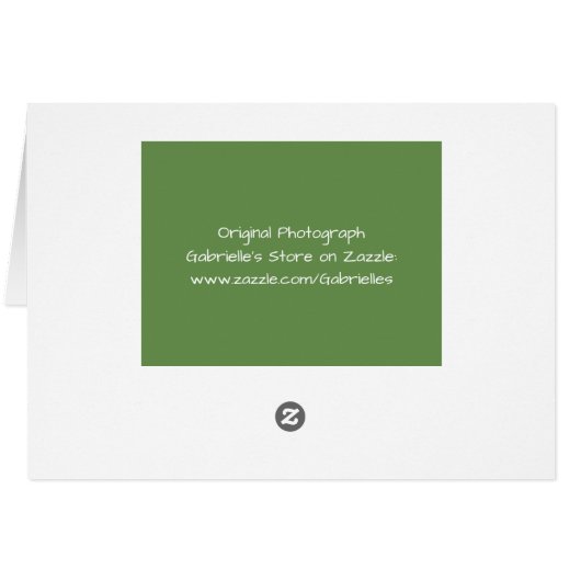 Purrfect Cat Birthday Card (Back Horizontal)