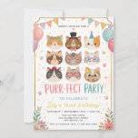 Purrfect