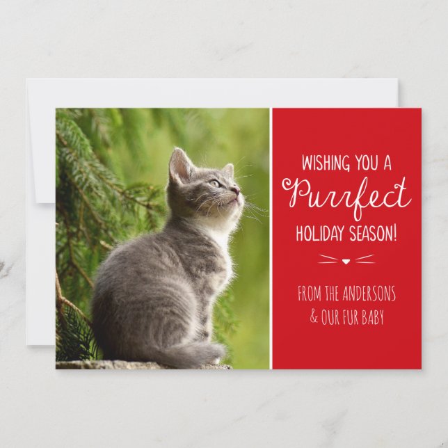 Purrfect Cat Theme Holiday Photo Card (Front)