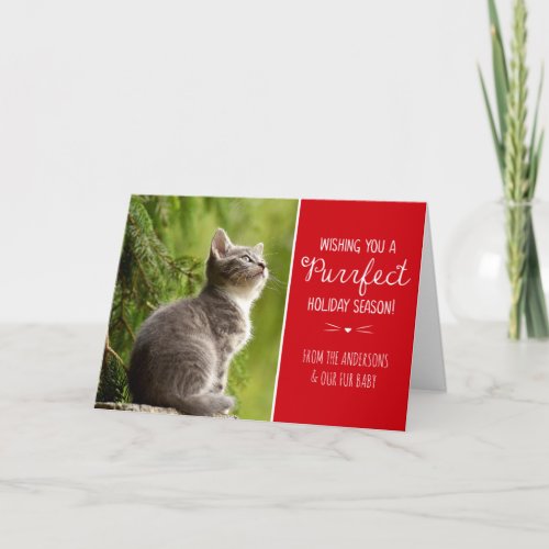 Purrfect Cat Theme Holiday Photo Card