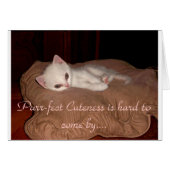 Purrfect Cuteness (Front Horizontal)