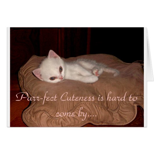 Purrfect Cuteness Cards (Front Horizontal)