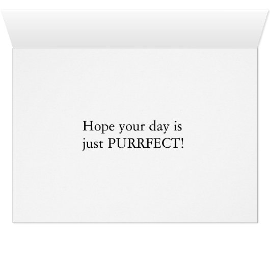 Purrfect day (Inside Horizontal (Bottom))