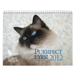 Purrfect Eyes! 2012 Cat Calendar