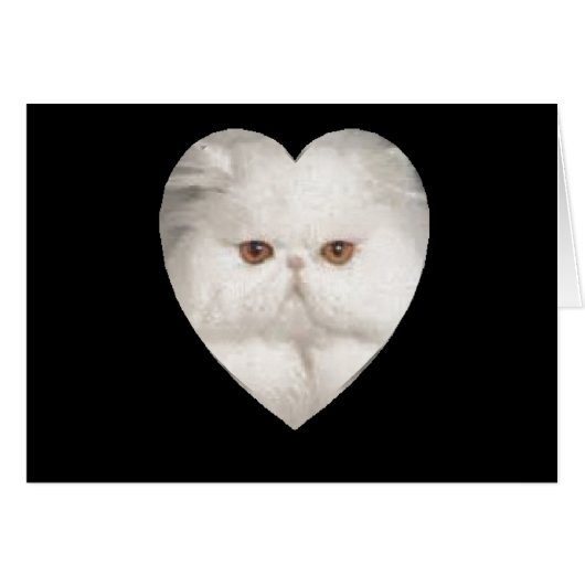 Purrfect Kitty Cards (Front Horizontal)