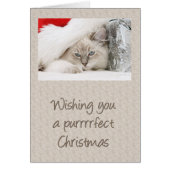Purrfect Kitty Christmas (Front)