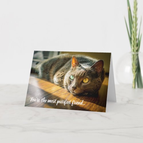 Purrfect Perfect Friend Cat Thinking of You Card