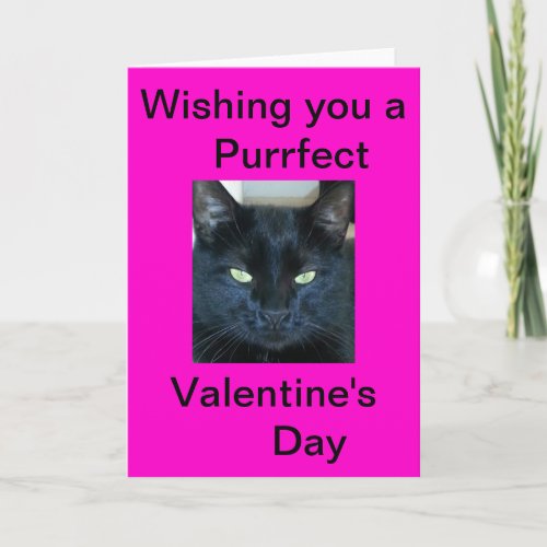 Purrfect Valentines Day Holiday Card