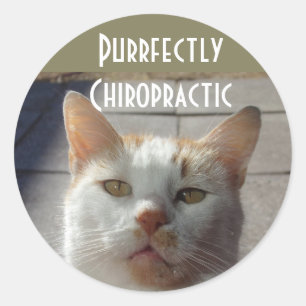 Purrfectly Chiropractic Stickers