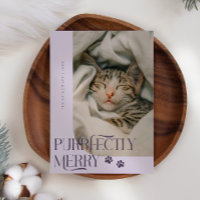 Purrfectly Merry Cat Photo Purple Christmas