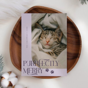 Purrfectly Merry Cat Photo Purple Christmas Holiday Card