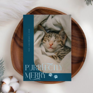 Purrfectly Merry Cat Photo Teal Christmas Holiday Card