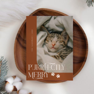 Purrfectly Merry Cat Photo Terracotta Christmas Holiday Card