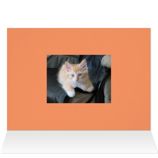 Purrfectly Purr-C, Purr-C C-Note Bass - Customized (Inside Horizontal (Top))