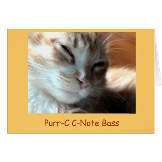 Purrfectly Purr-C, Purr-C C-Note Bass - Customized Cards (Front Horizontal)