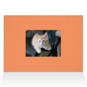 Purrfectly Purr-C, Purr-C C-Note Bass - Customized Cards (Inside Horizontal (Top))