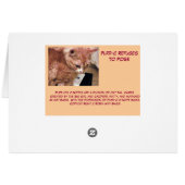 Purrfectly Purr-C, Purr-C C-Note Bass - Customized Cards (Back Horizontal)