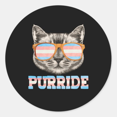 Purride Cat Pride LGBT Transgender Flag Trans Pet Classic Round Sticker