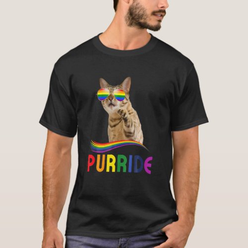 Purride Rainbow Pride Cat Lgbq Cat Ee T_Shirt