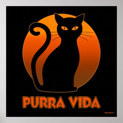 Purring Cat And Sun Purra Vida Pure Life Funny Poster