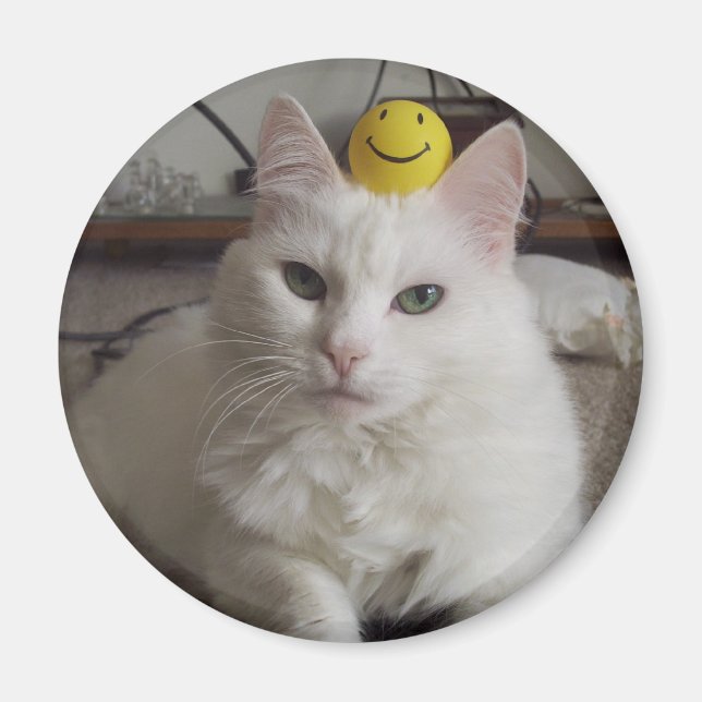 "Purrl" Magnet (Front)