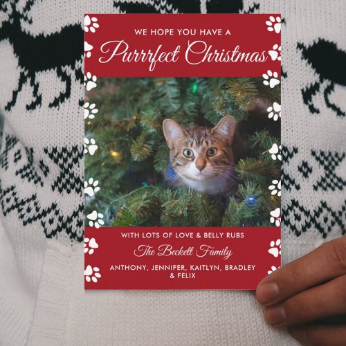 Purrrfect Christmas  Cat Holiday Photo