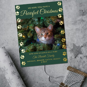 Purrrfect Christmas   Cat Photo Real Foil Holiday Postcard