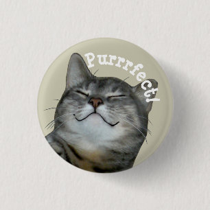 Purrrfect Smiling smug kitty cat Button