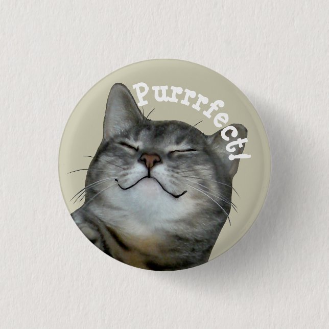 Purrrfect Smiling smug kitty cat Button (Front)
