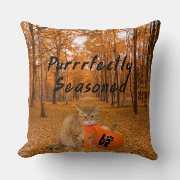 Purrrfectly Seasoned Cat With Scarf & Pumpkin Fall Throw Pillow by Sozo4all at Zazzle