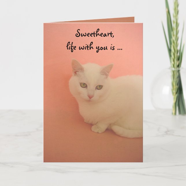 PURRRR Contentment Holiday Card (Front)