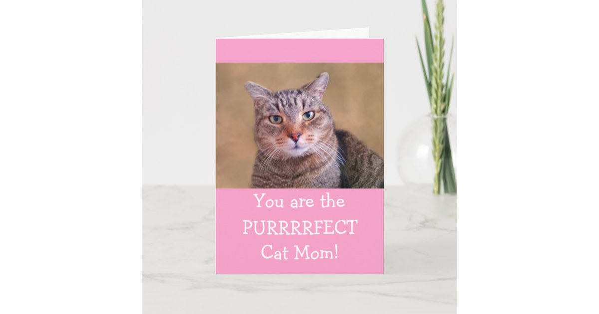 Purrrrfect Cat Mom Mother's Day Holiday Card | Zazzle