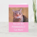 Purrrrfect Cat Mom Mother&#39;s Day Holiday Card at Zazzle