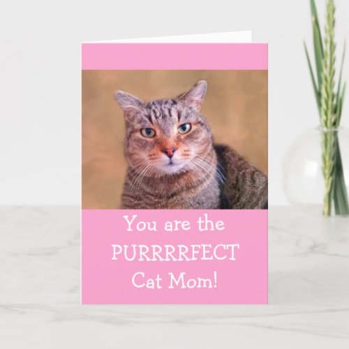 Purrrrfect Cat Mom Mothers Day Holiday Card