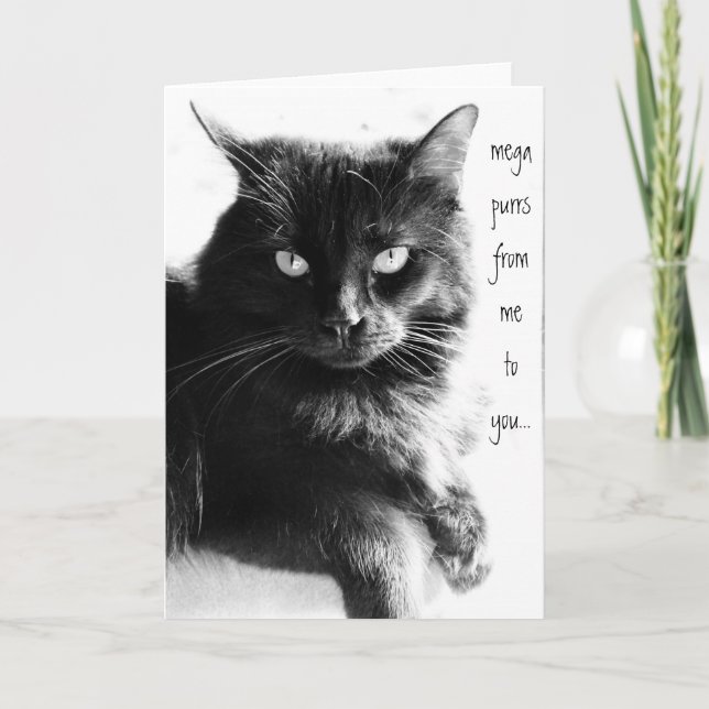 PURRS FROM ME TO YOU, black cat note cards (Front)