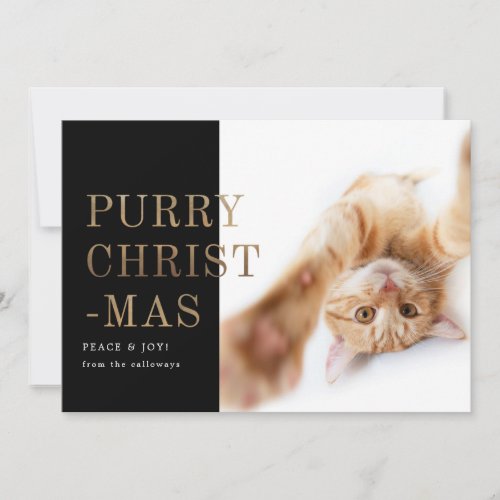 Purry Christmas Cat Photo Black Gold Holiday Card