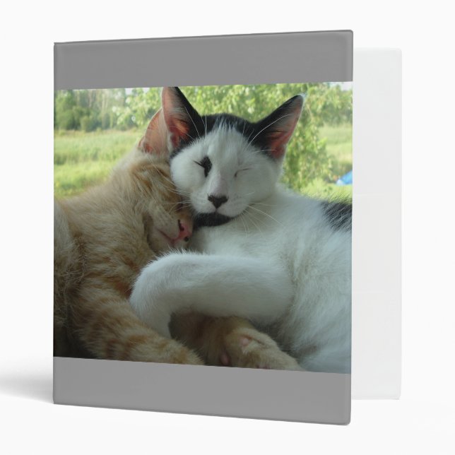 Purry Furry  Cat Love Binder (Front/Inside)