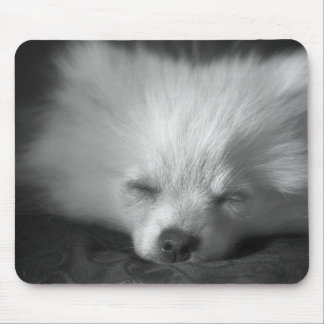 push off... i iz havin' a break mousemat mouse pad