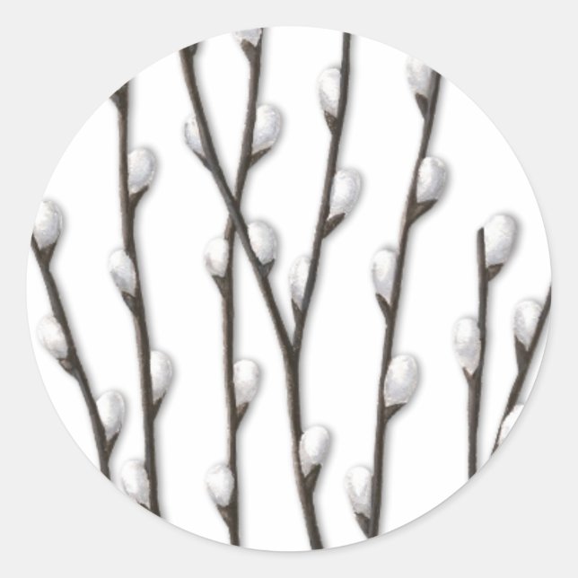 Pussywillow Branches Nature Art Sticker (Front)