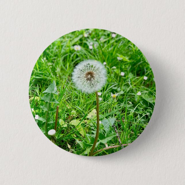 pustard trees on a meadow 1 button (Front)