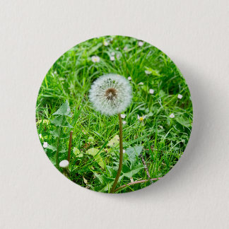 pustard trees on a meadow 1 button