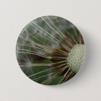 pusteblume pinback button