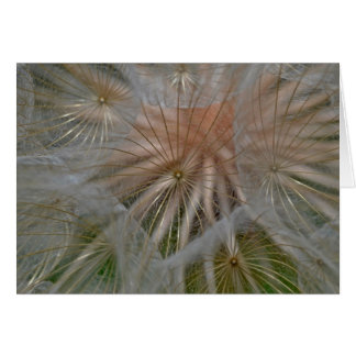 ‘Pusteblumen umbrella’ by mysteryella Cards