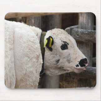 Pustertal Pied Calf Mouse Pad