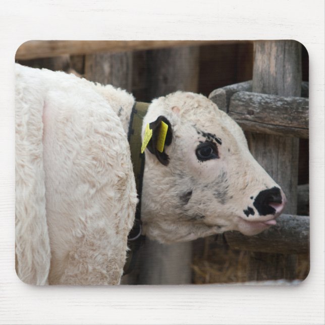 Pustertal Pied Calf Mouse Pad (Front)